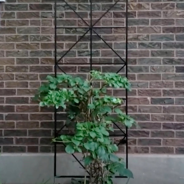 Proyecto de soldadura DIY Garden Trellis para principiantes