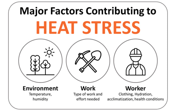 Principales factores que contribuyen al estrés por calor.